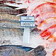/images/catalog/3_tsennik_s_krepl/Kasset_Cen/Kreplen_Kasset_Cen/PC_DELI_ICE_SET/222320_2.jpg