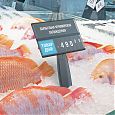 /images/catalog/3_tsennik_s_krepl/Kasset_Cen/Kreplen_Kasset_Cen/PC_DELI_ICE_SET/222320_3.jpg